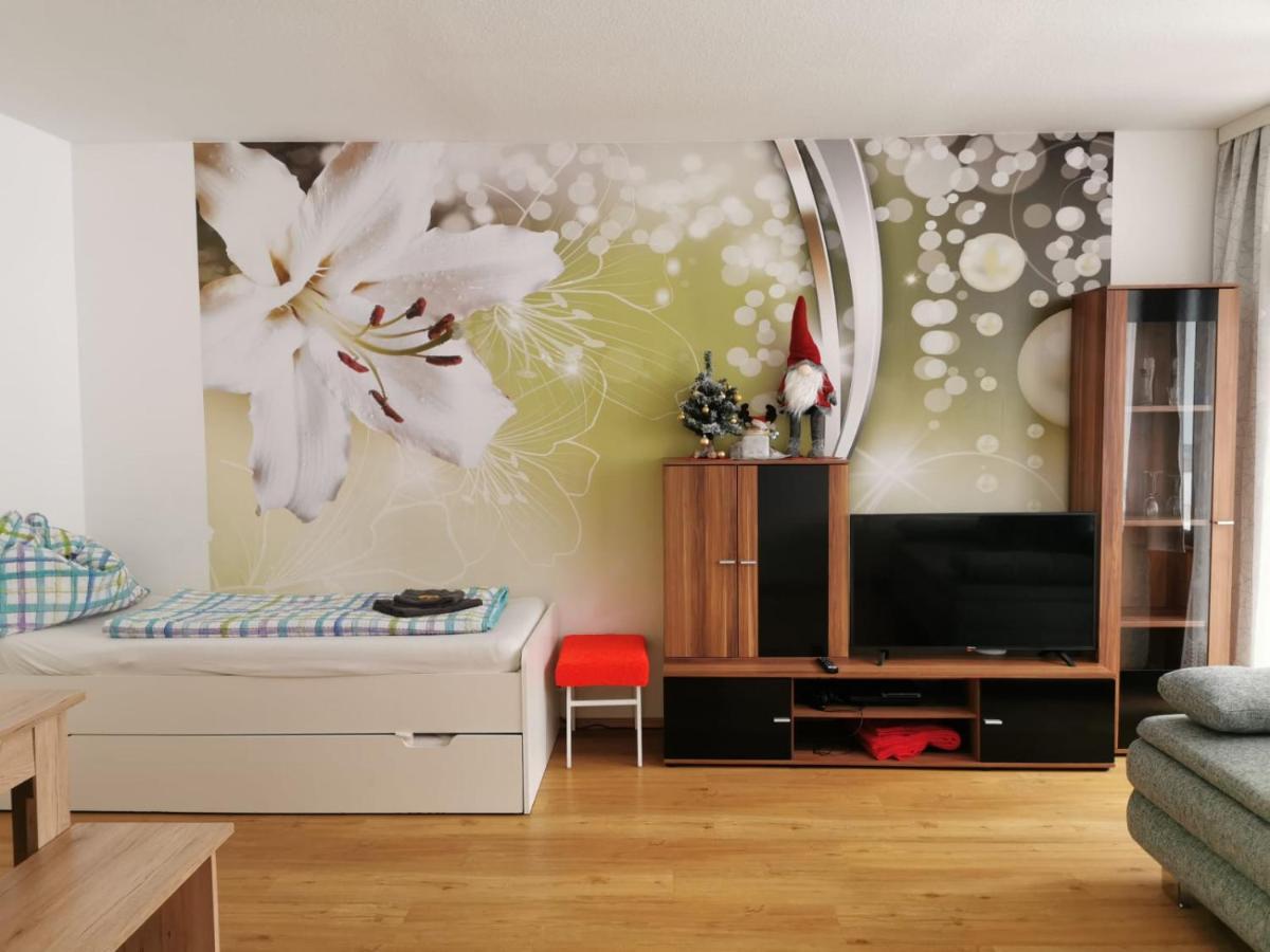Apartment Fewo Irdning Pichlarn Aigen im Ennstal Luaran gambar