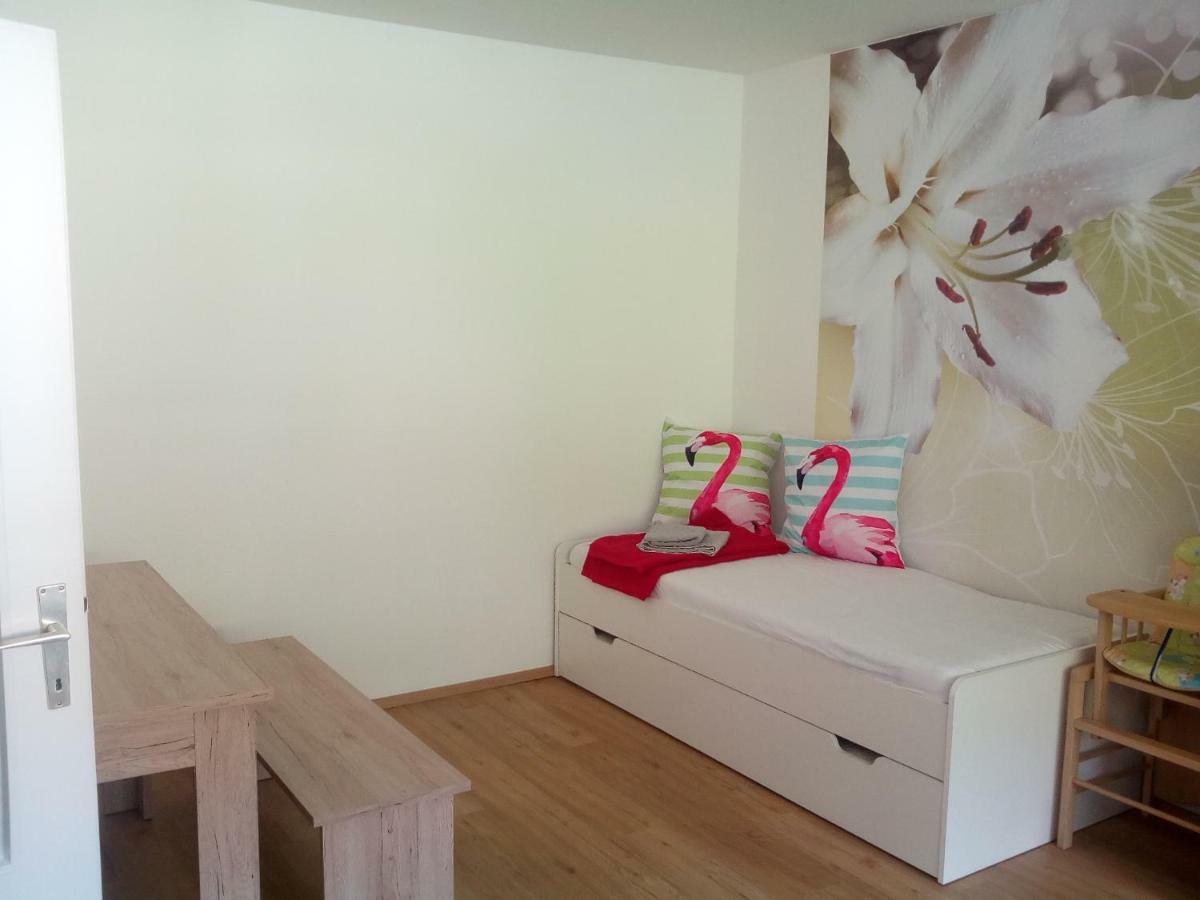 Apartment Fewo Irdning Pichlarn Aigen im Ennstal Luaran gambar