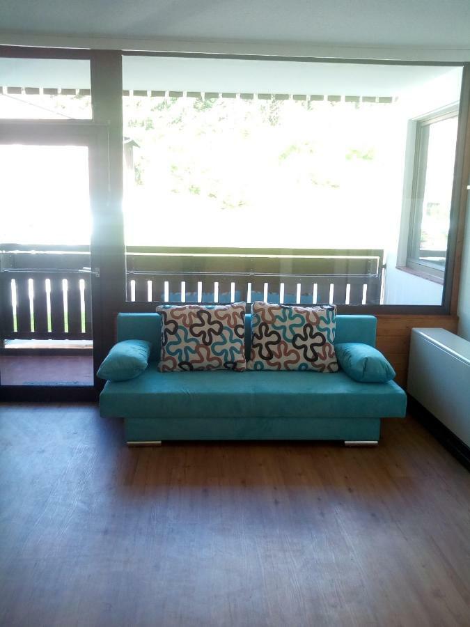 Apartment Fewo Irdning Pichlarn Aigen im Ennstal Luaran gambar
